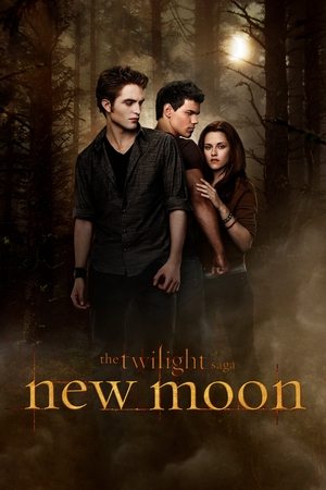 The Twilight Saga: New Moon 2 (2009)